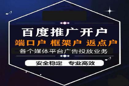 某品牌通过百度广告实现快速增长的案例